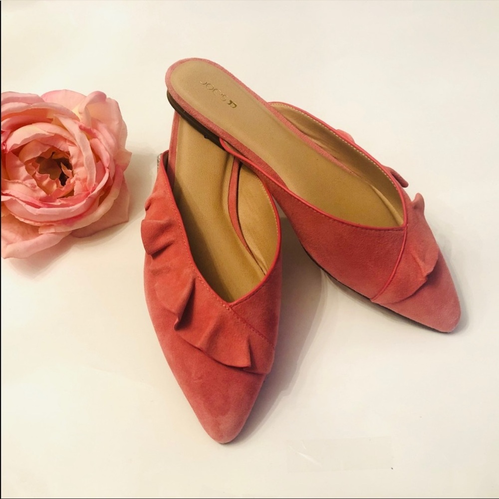 NWT Joe’s Slip on Harper Mules